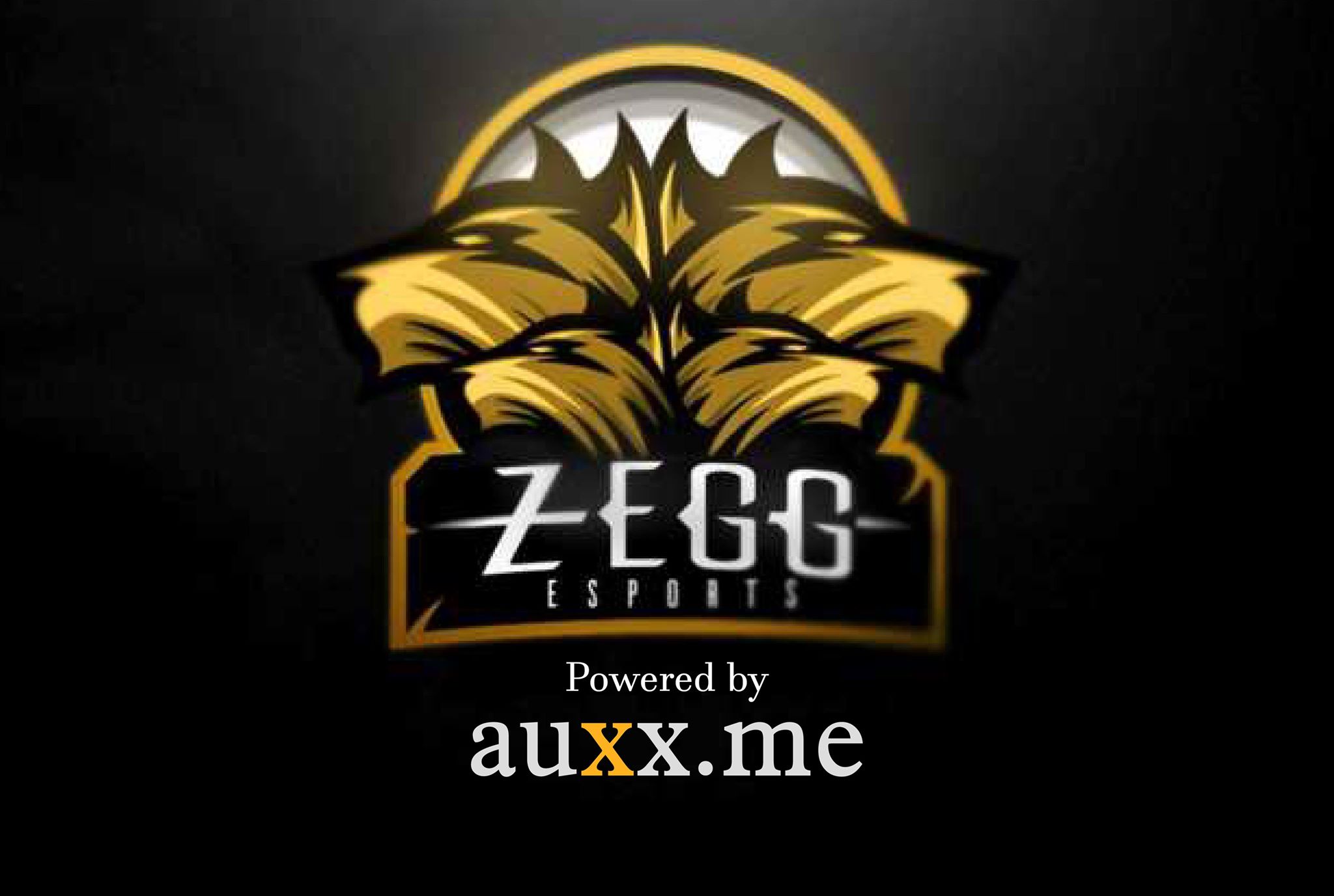 ZeGG powered by Auxx.me
