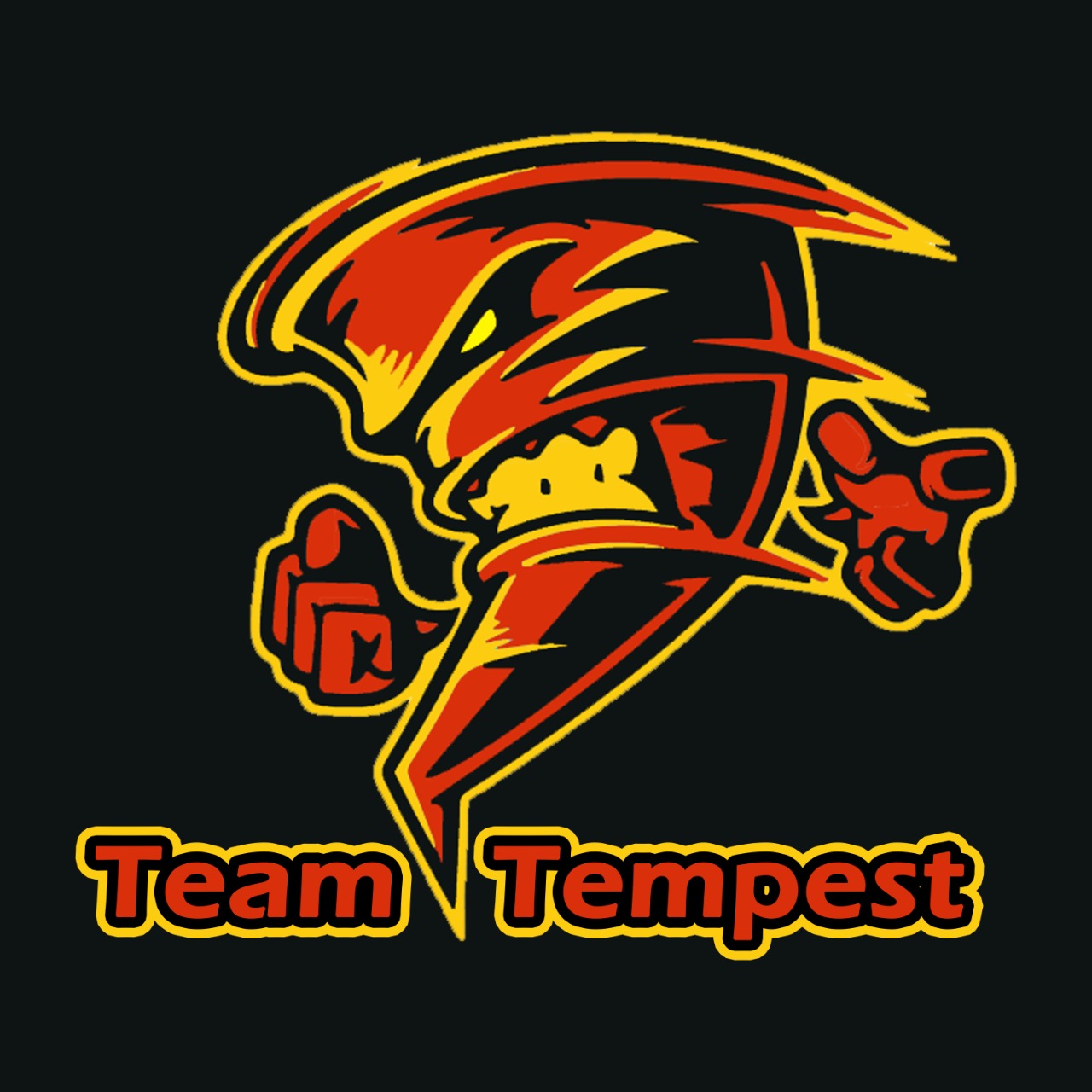 M-es Team Tempest