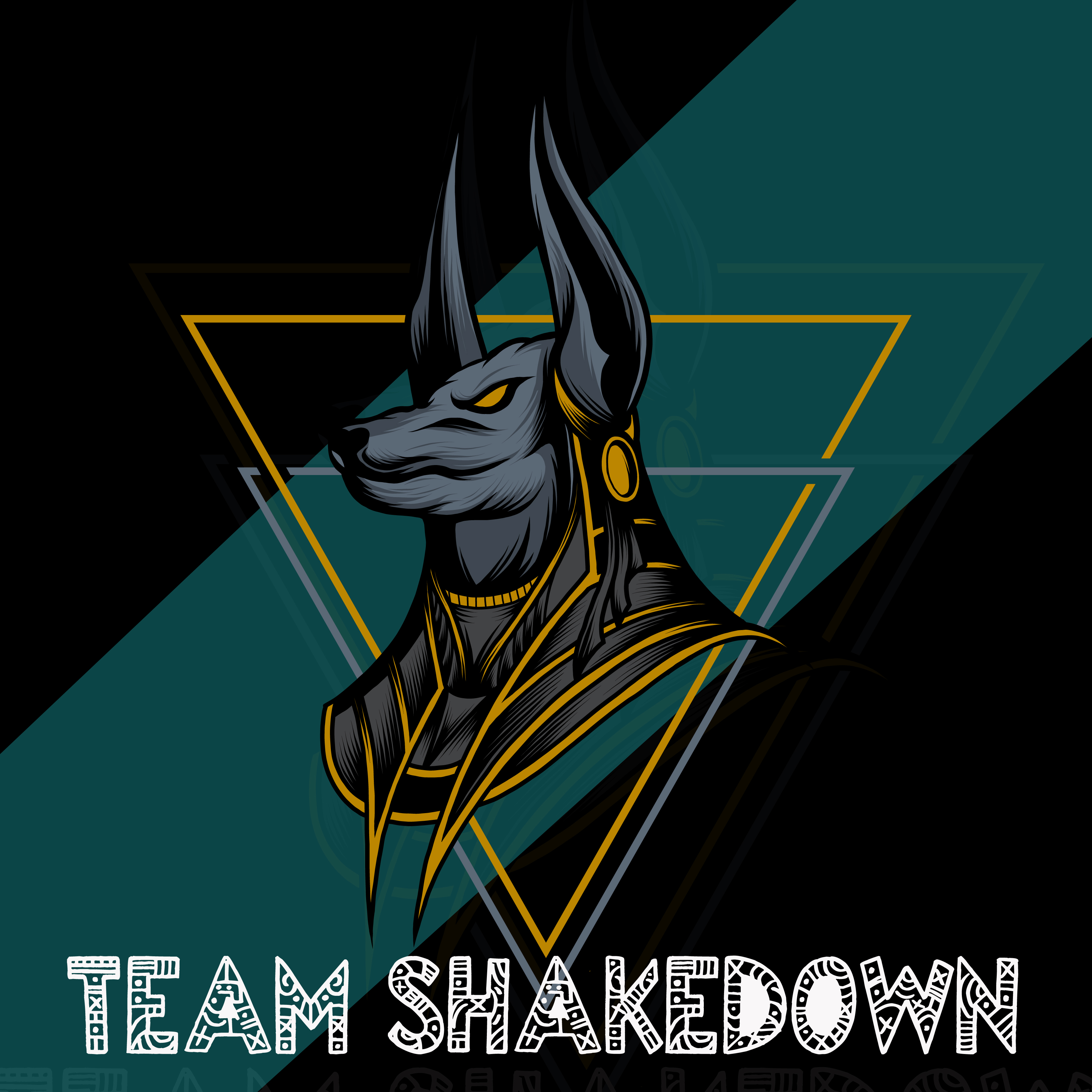 Team Shakedown