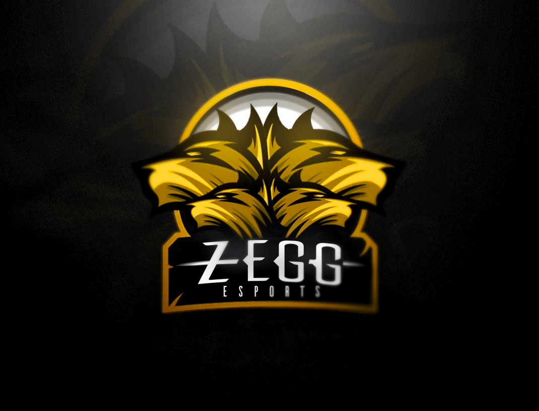 ZeGG e-Sports