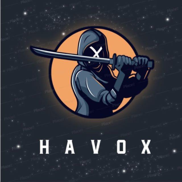Team HavoX