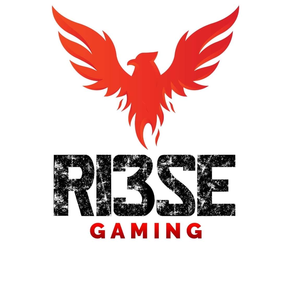RI3sE Gaming