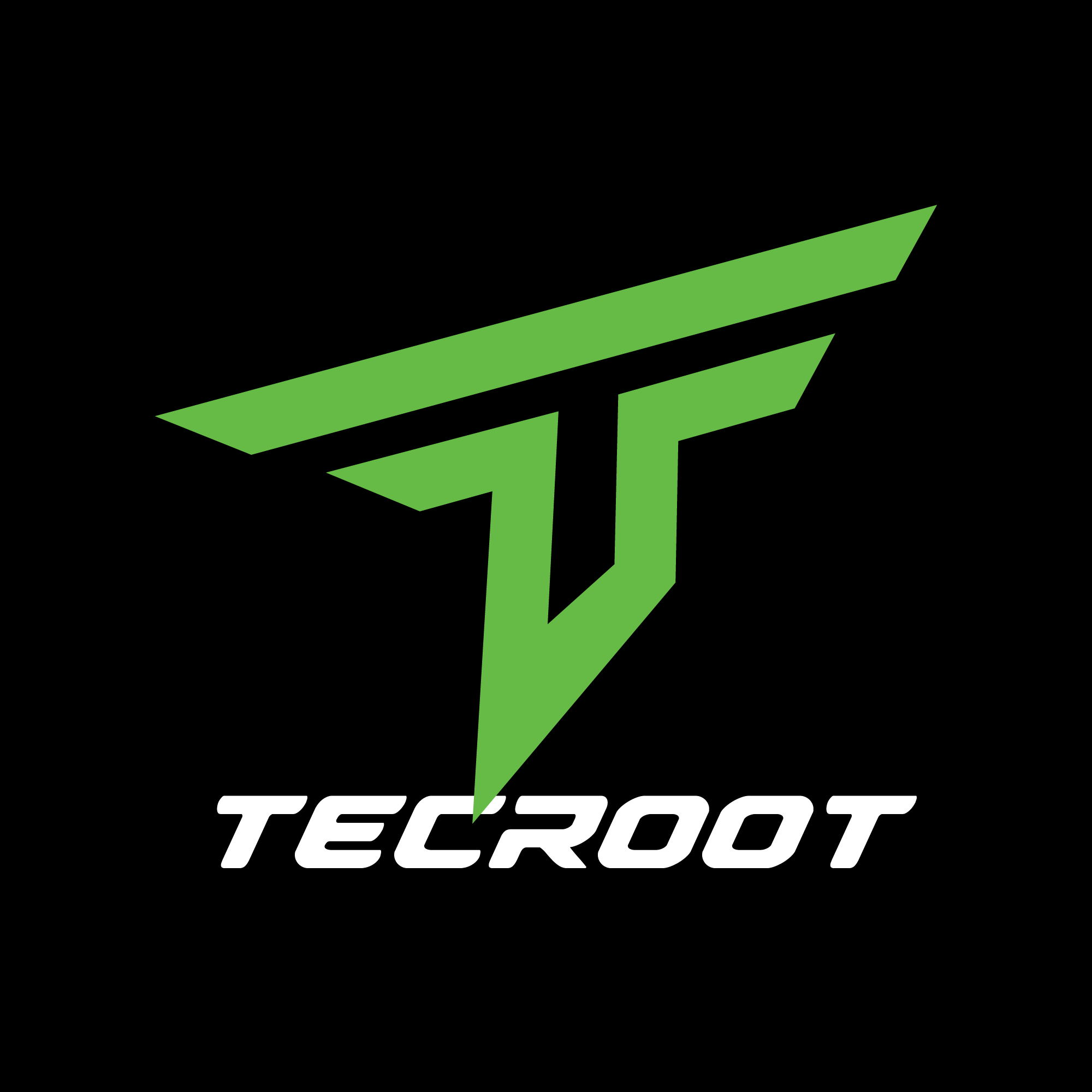 TecRoot Techies
