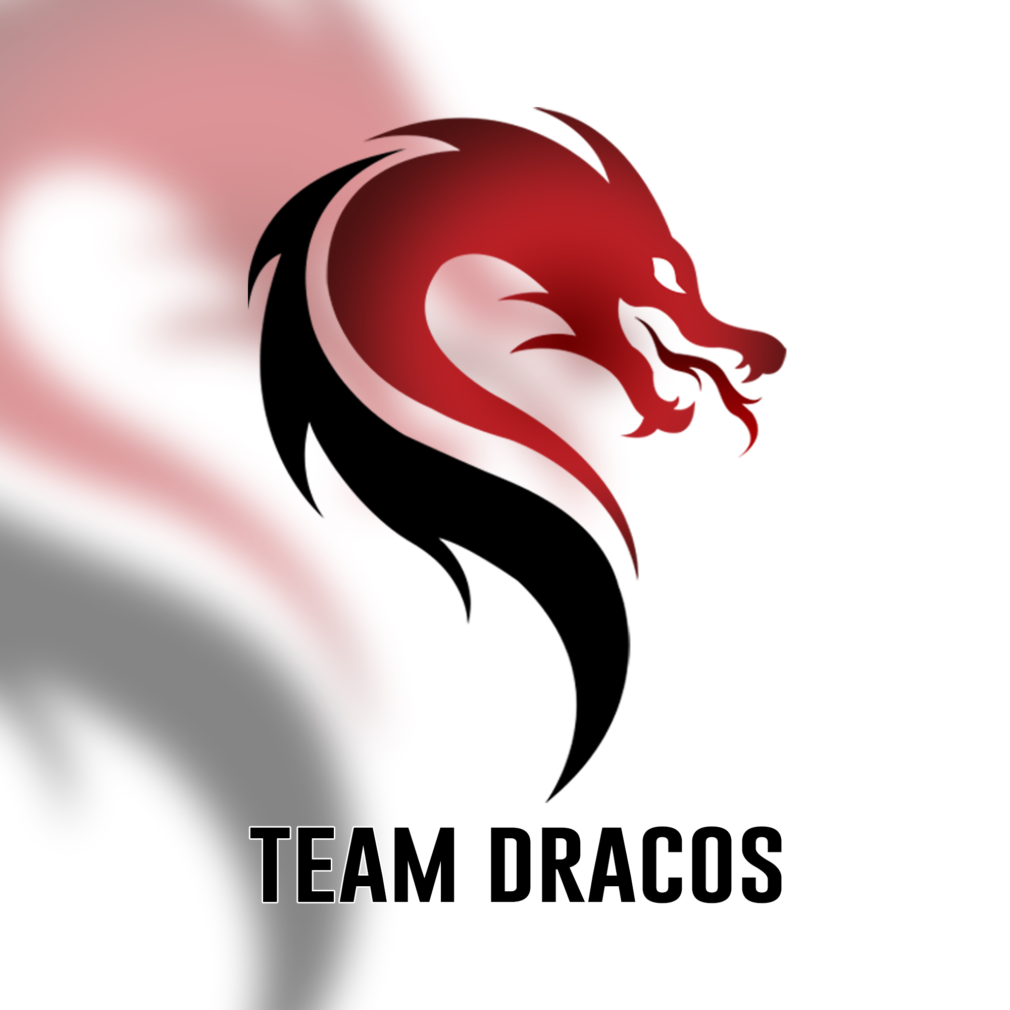 Team Dracos