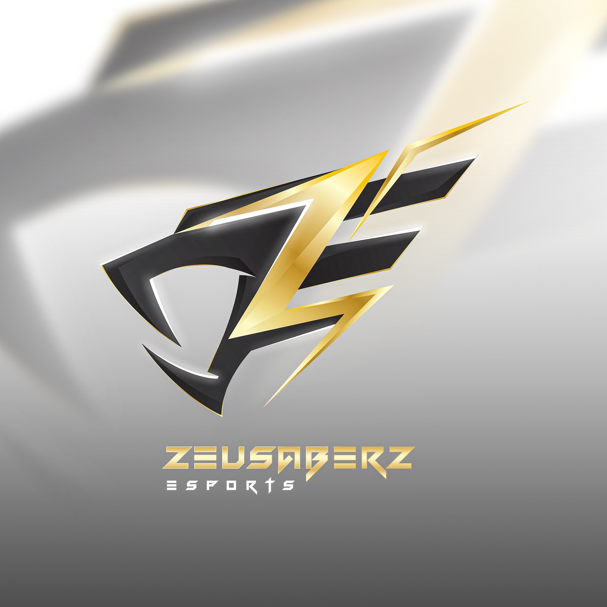 ZeusaberZ Esports