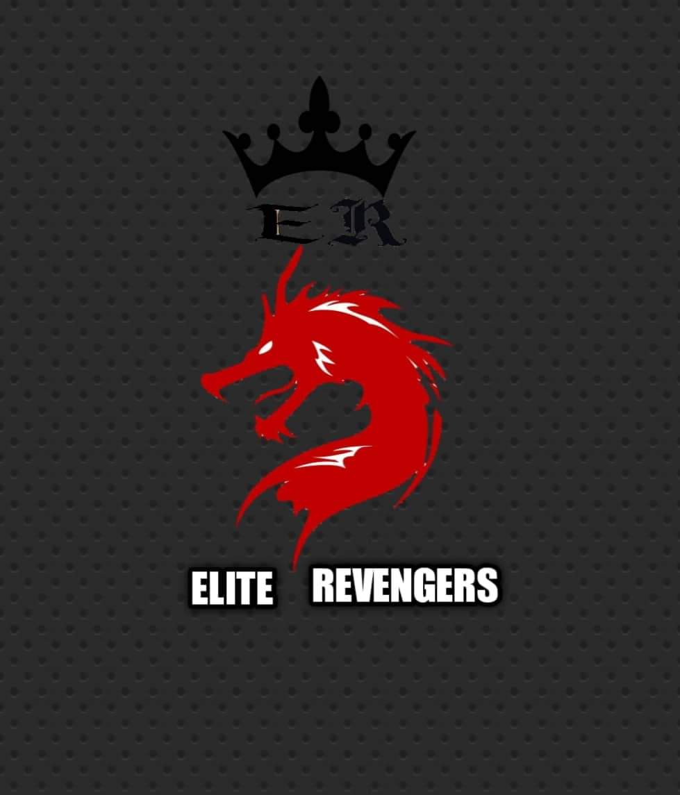 Elite Revengers