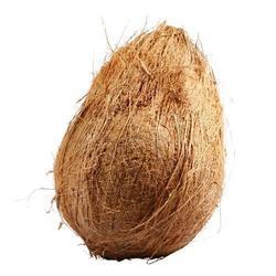 Ceylon Coconut