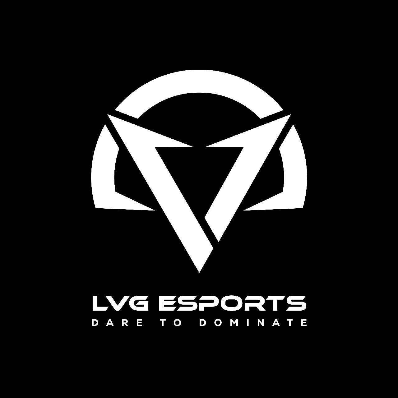 LVG ESPORTS