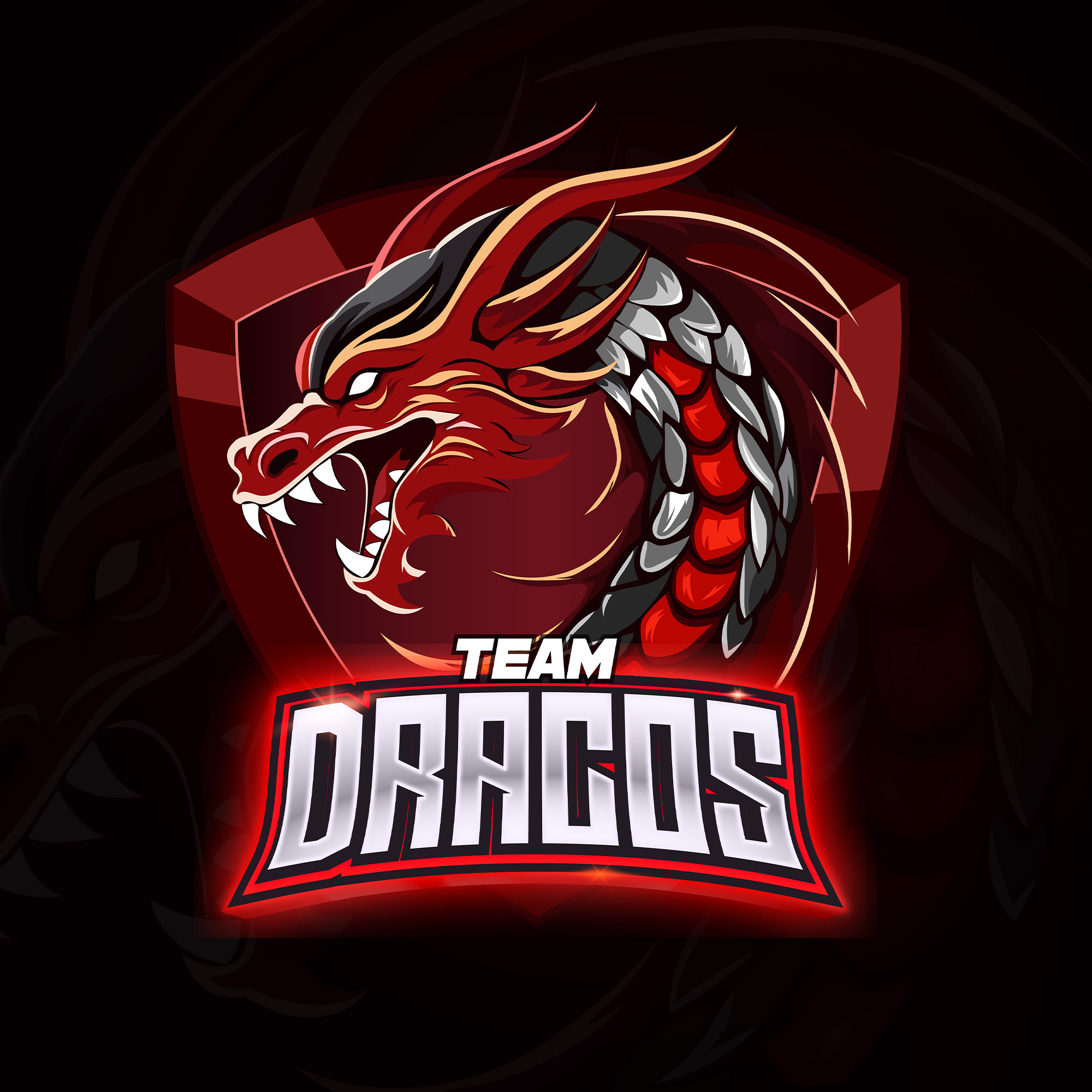 Team Dracos